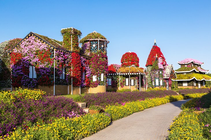 Dubai Miracle Garden