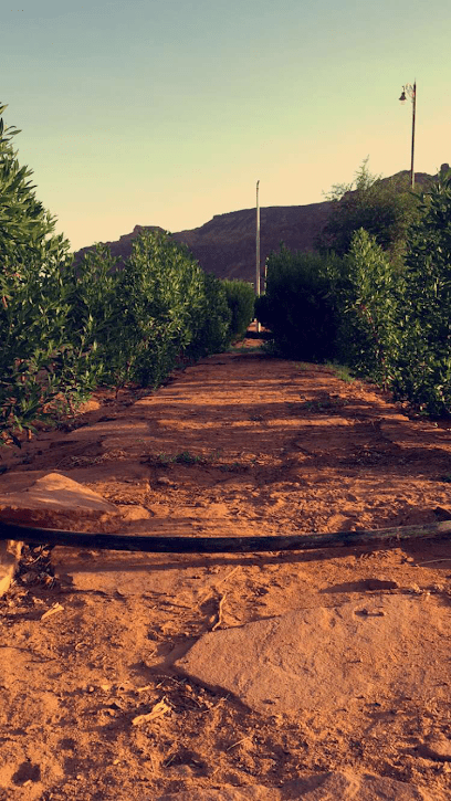 حديقة-المحاش-العلا-مواسم-السعودية